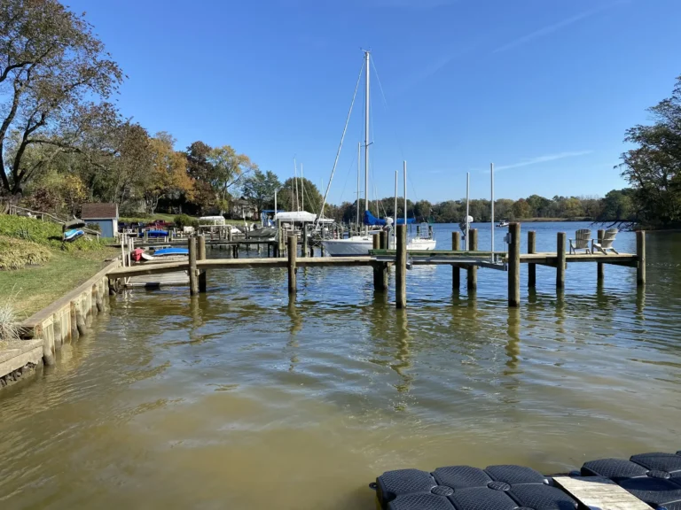 Waterfront tree removal (2)